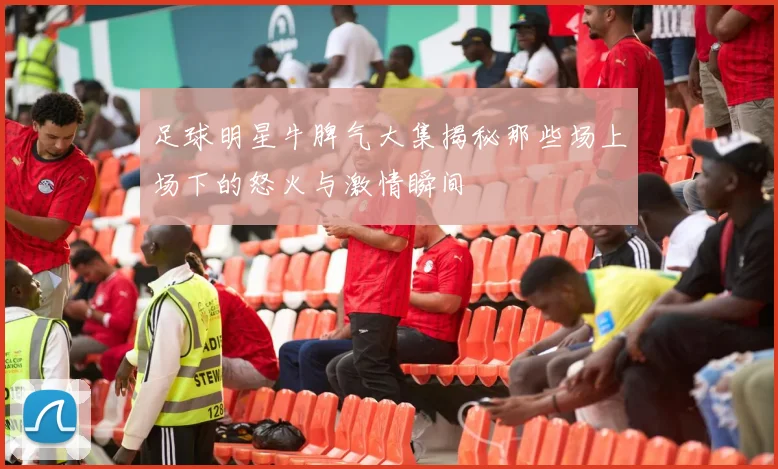 足球明星牛脾气大集揭秘那些场上场下的怒火与激情瞬间